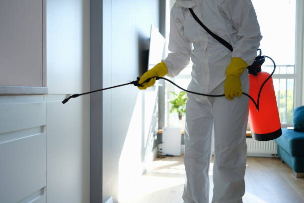 Best Mold Removal Company Near Me  in Westwood, MI