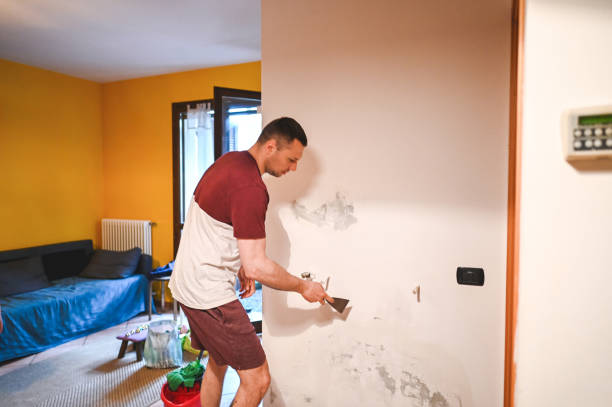 Best Mold Testing  in Westwood, MI